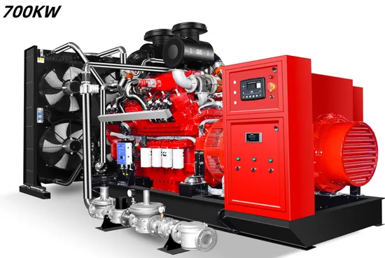Natural/Biogas/Biomass/LPG/CNG/Propane/Methane/Hydrogen/Power Plant/Dual Fuel/Sewage/Coke/Syngas/Wood Gas Generator Set Manufacturer 875kVA/ 700kw