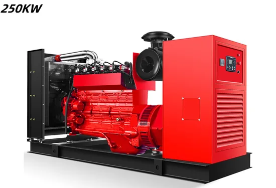 250kw Gas Silent Power Generator Electric Gas Generator Set