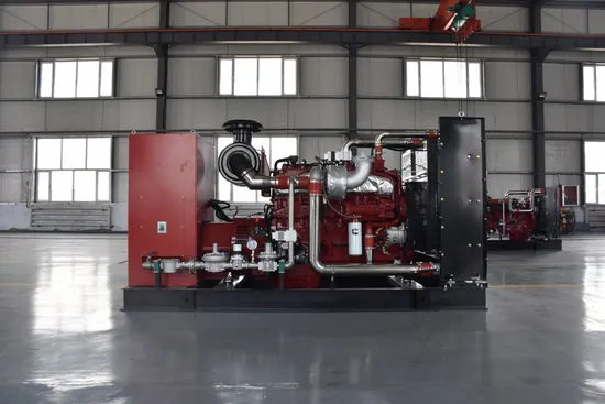50/60Hz 1500rpm 3 Phase Biogas Plant Weichai Power Engine High Efficiency Power Generator Set Natural Gas Generator Biogas / LPG Generator Price