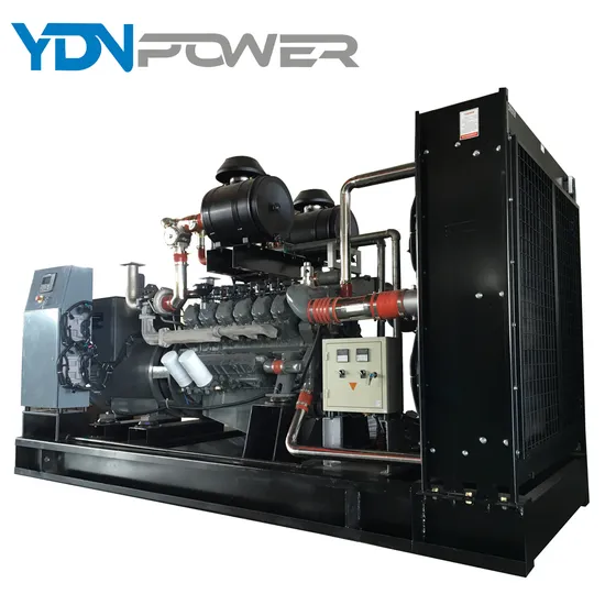 300kw 375kVA Vman Natural Gas Generator