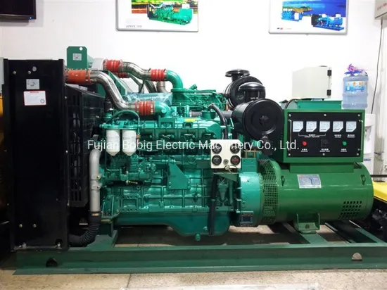 30kw 50kw Biogas Methane Gas Generator Without Canopy Open Type