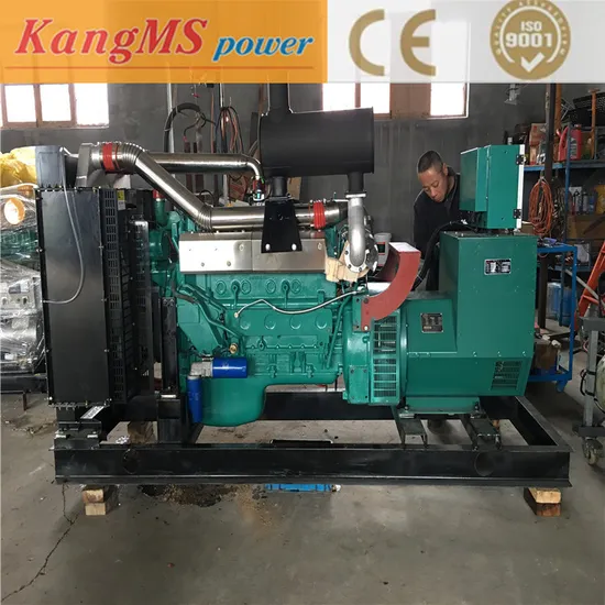 CE ISO 20kVA-2000kVA Biogas Natural Gas Generator LNG CNG