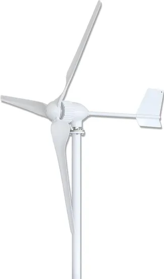 3kw Home Use Wind Turbine / Wind Power Generator System (3000W)