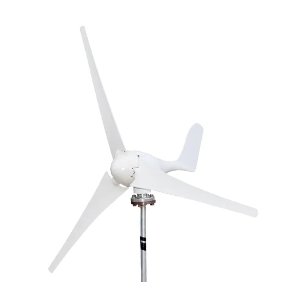 Manufacturer Wholesale 12V/24V Rated Voltage 2.5m/S Starting Wind Speed Wind Turbine