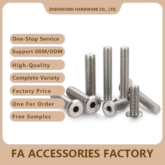 Professional Manufacture Ultra Low-Profile Hex Socket Cap Screw M2 M6