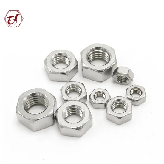 Stainless Steel Hex Nut /Flange Nut/Hex Nylon Lock Nut/ Spring Nut /Eye Nut/Acron Nut T Nut with High Quality (DIN934 DIN6923 DIN985 DIN557 DIN1587)