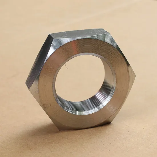 Haynes 25 Haynes 230 Alloy 36 Aermet 100 Hastelloy C-22 Inconel 702 Alloy 20 / 020 Nimonic 80A/2.4952 Haynes 230 Uns N07080 Customizable Nickel Alloy Nut