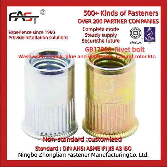 Flat Head Hexagon Body Close Blind Rivet Nut for Light Industrial Products