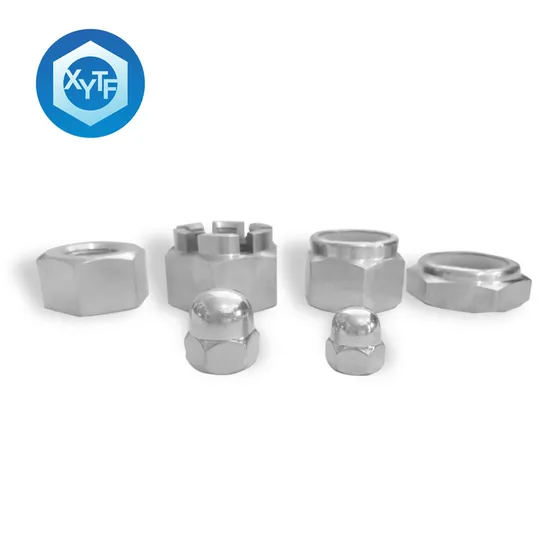 Stainless Steel Hex Head Flange Hexagon Nylon Lock Spring Cap Eye Rivet Bolt Coupling Acron T Auto Parts Heavy Insert Steel 660abcd 32760 F55 8926 Nut