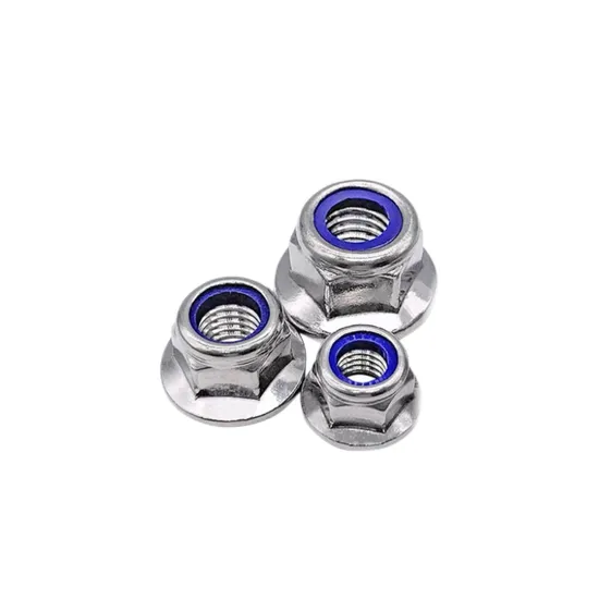 Good Quality DIN934 Stainless Steel304/316 Hex Nut