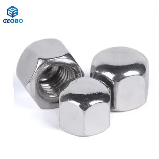 All Size DIN917 Stainless Steel Hexagon Cap Nuts