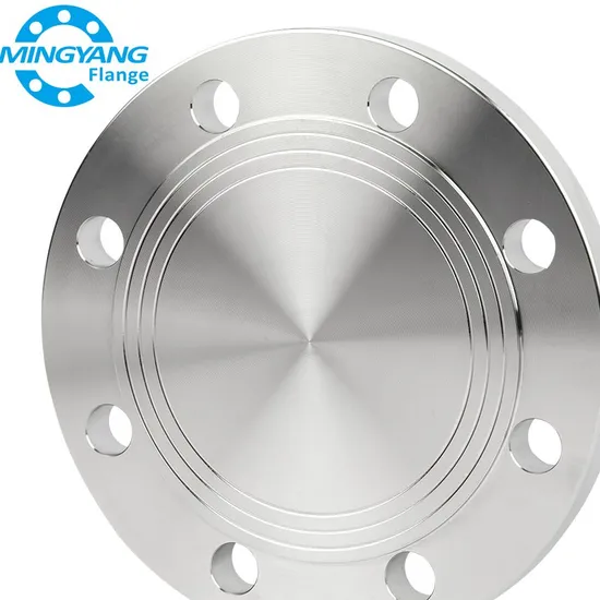 Stainless Steel Flange Cover /Blind Plate DN1000 304L Pn2.5/6/10/16