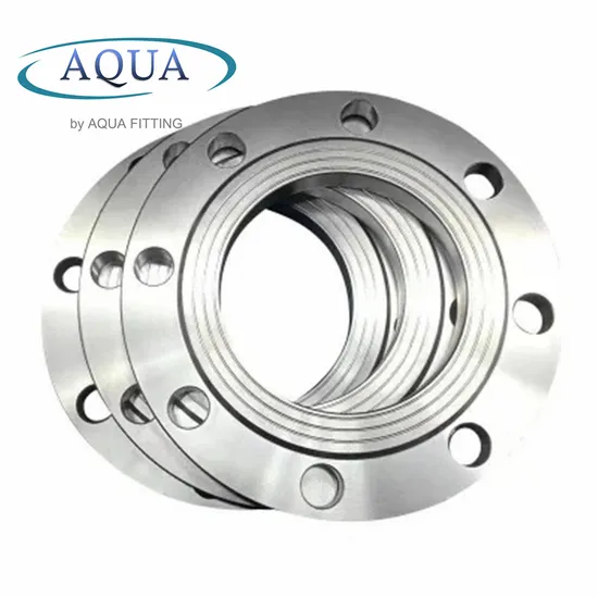 304 416 Stainless Steel Welding Neck Threaded Forged/Casting Flanges