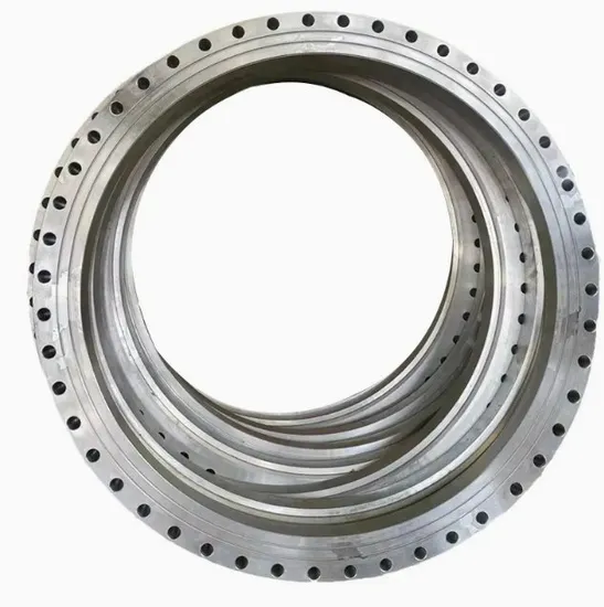 Long′an Carbon Steel Forged Flanges / Pressure Vessel Blank Flange