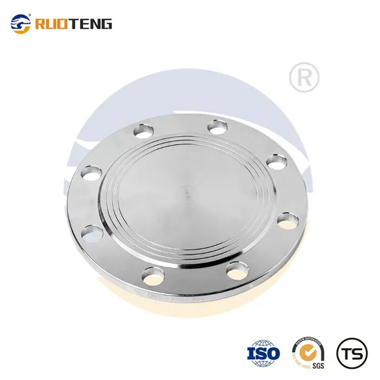[Ruoteng] High Quality BS4505 RF Pn16 316L Blind Flange Hot Sales ASME B16.5 Nps Stainless Steel RF Blind Flanges
