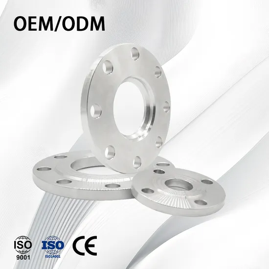 Acero Inoxidable/Customize High Precision/Pressure Multi-Type Stainless Steel Flange for Pipeline