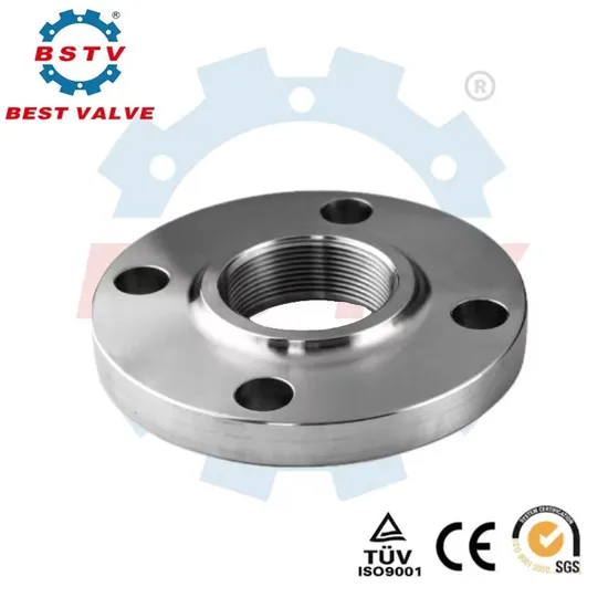 Bstv Brand - Stainless Steel304/316/316L Flanges for Various Industrial Applications, Providing Comprehensive Industrial Solutions