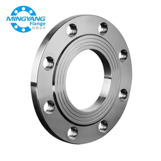 China Good Quality Stainless Steel RF Plate Flange DN150 304 Pn2.5/Pn6/Pn10/Pn16/Pn25/Pn40 Factory Price