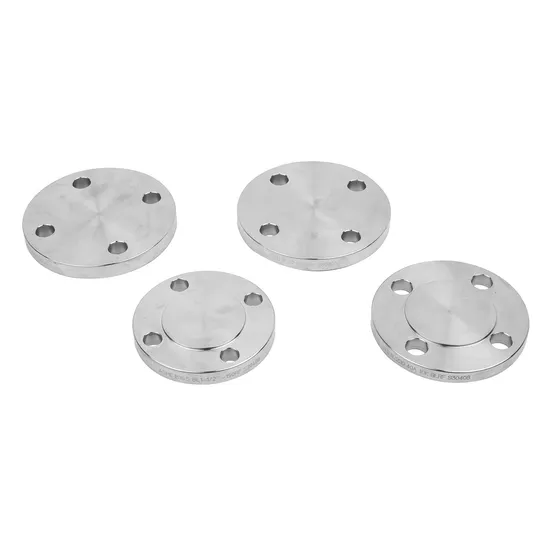 Forged Carbon Steel Stainless Steel Pipe Flanges