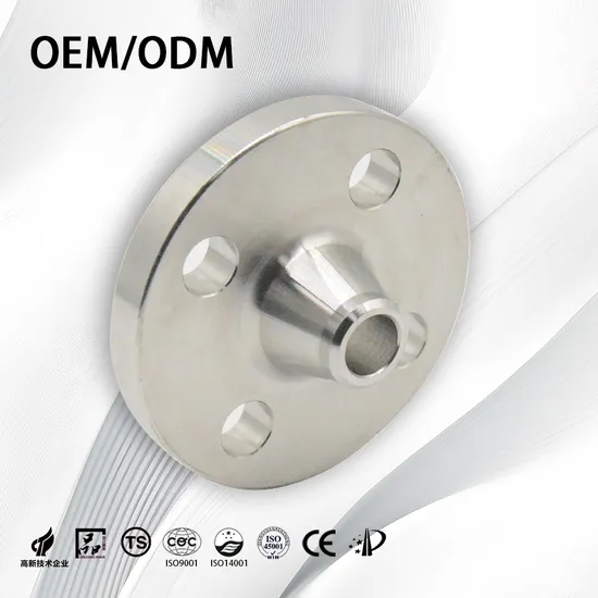 Customize High Precision/Corrosion Resistant/Pipe Flange/Reducing Flange/International Stainless Steel Flange for Oil Pipe