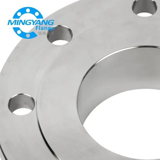 High Quality DN65 Butt Welded Steel Pipe Flange with Neck 316 Pn10/Pn16/Pn25/Pn40/Pn63/Pn100/Pn160 Factory Price
