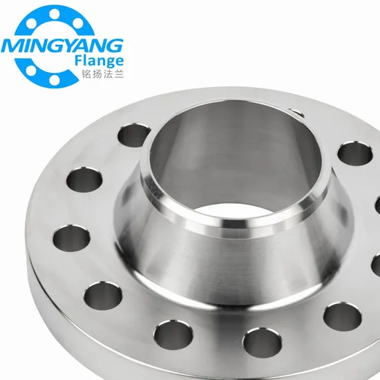 DN10-DN2000 Butt Welded Steel Pipe Flange with Neck 316/316L Factory Price
