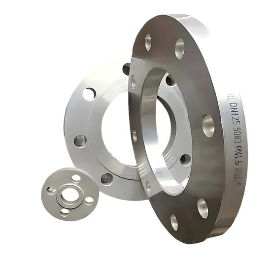 ASME SA182/SA240 Uns N10276 Alloy Pipe Stainless Steel Flange for Marine Engineering
