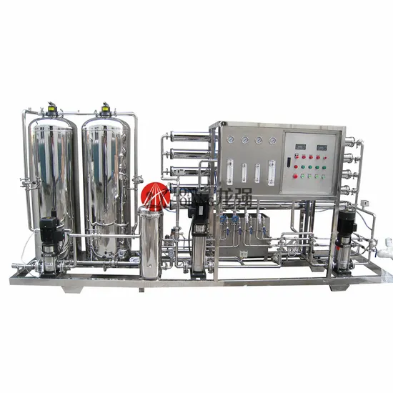 2000L/H RO Water Treatment System for Food Processing Use Water