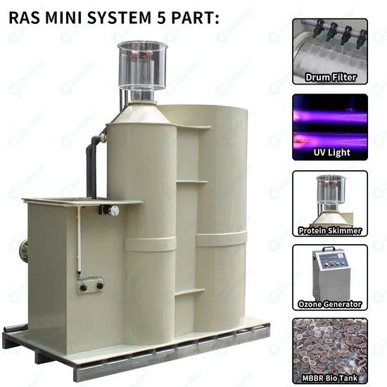 Cowater 10 M3/H Indoor Fish Farm Aquaculture Equipment Compact Ras System for Recirculating Aquaculture System