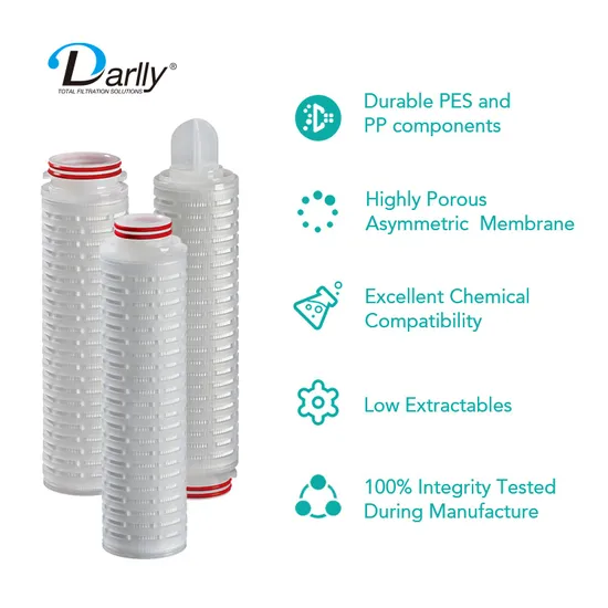 High Quality Absolute Rating 0.22 Micron Beer Membrane Cartridge Filter Pes Filter for Ultra Pure Water Filtration