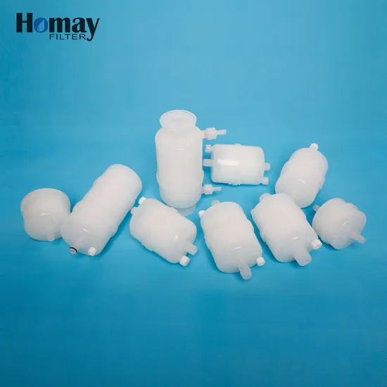 0.22 Micron Disposable Capsule Filters for Pharma