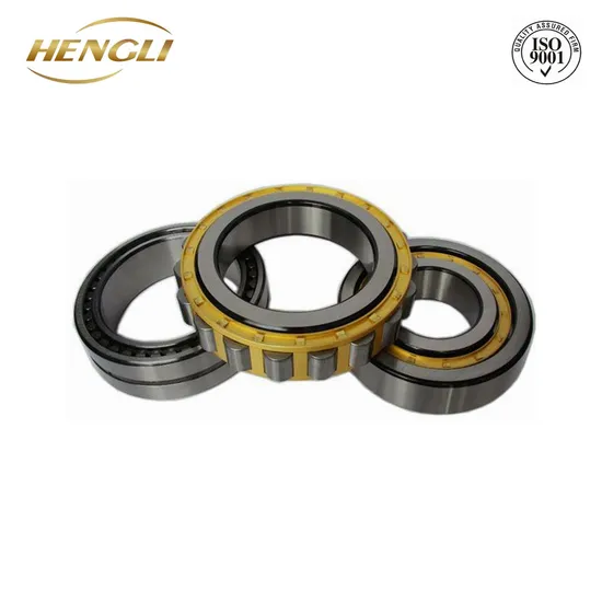 NJ2219EM  95mm *170 mm* 42 mm Cylindrical Roller Bearing for Sports Apparatus