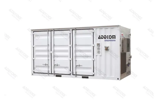 Biogas Upgrading CNG Project Containerized Explosion Proof High Pressure Water Cooling Landfill Marsh Bio Gas Screw Compressor