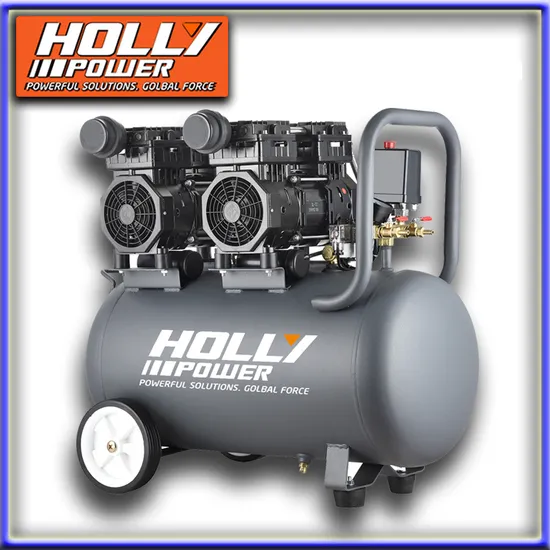 Hot Sale 50 Liters High Quality Double Head Pump Oil Free Air Compressors Holly Power Compressors