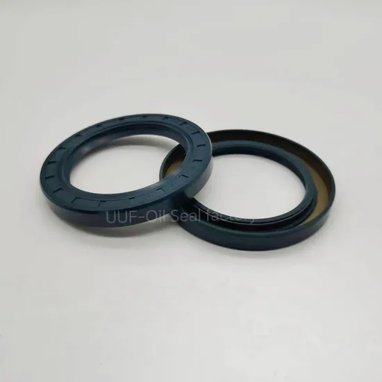 China Auto Parts Engine Parts NBR Oil Seal 65*90*10 Tc Rubber Seal Double Lip FKM Seal Ring High Pressure Mechanical Seal