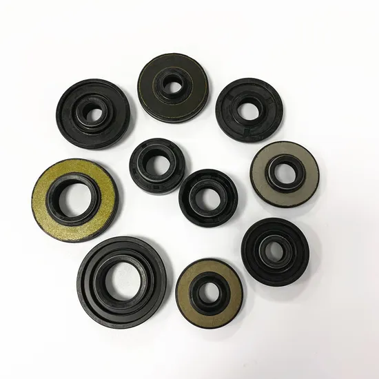 Cog Rubber Shock Absorber Oil Seal Tc/Sc NBR/FPM O Ring Gasket for Spare Parts