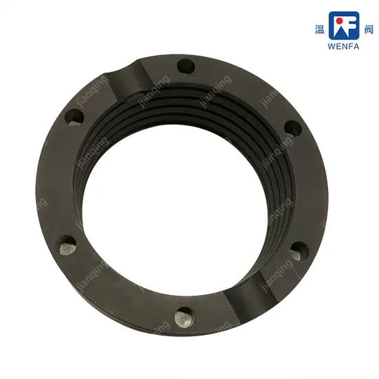 Compression Sealing Ring Made of Impregnated Graphite Material