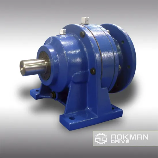 Aokman Drive Cycloidal Pin Gear Speed Reducer