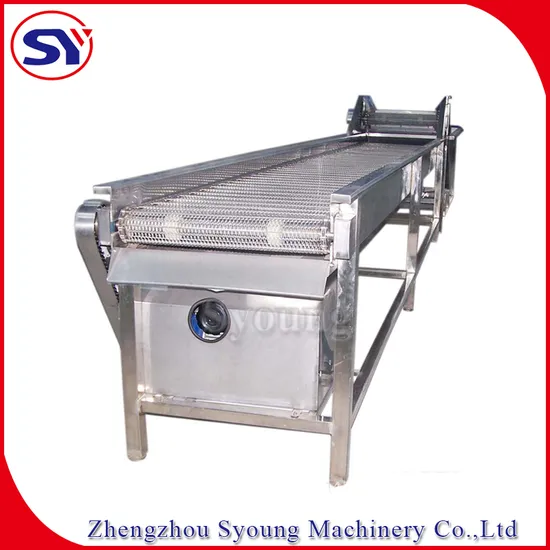 Stainless Steel 304 Wire Mesh Belt Conveyor with Cooling Dying for Fried Baked Food