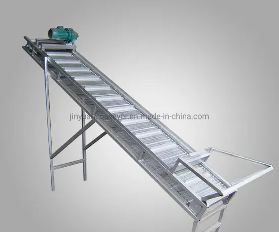 Chinese Manufacturers Produce Stainless Steel Mesh Belt Conveyor