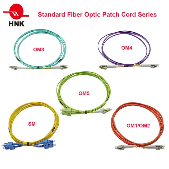 PC/Upc/APC Sc/LC/FC/St/Mu/MTRJ/E2000 Simplex Duplex Singlemode Multimode Fiber Optic Patch Cord