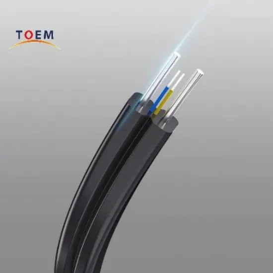 Spiral Bow-Type Fiber Optic Drop Cable FTTH Butterfly Cable for Access Network