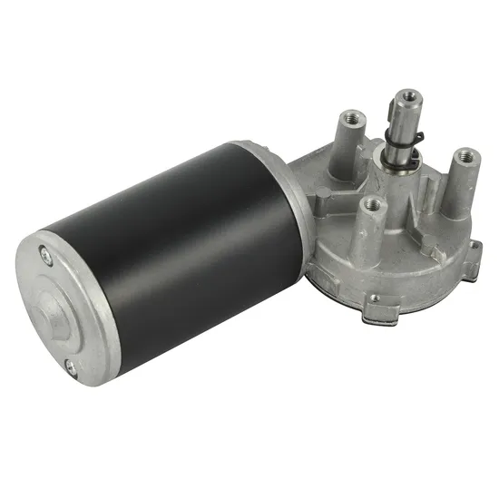 12V DC Permanent Magnet Motor with Worm Reducer for Garage Door
