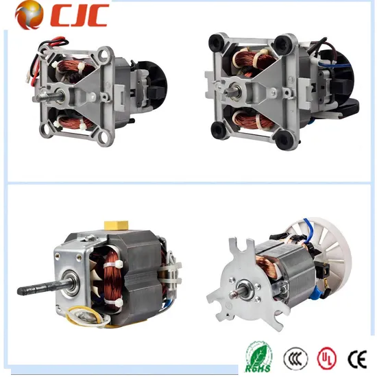 110V 230V CE Brushed AC DC Motor Electrical Induction Motor for Juicer/Blender