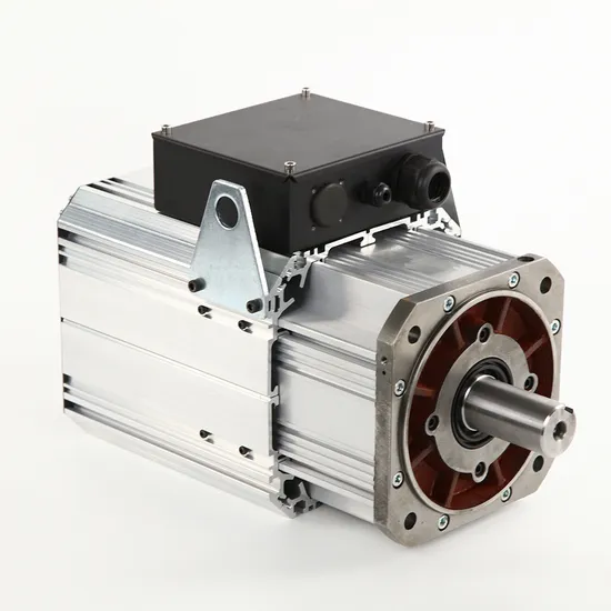 High-Efficiency and Energy-Saving Permanent Magnet Synchronous Servo AC Three Phase Electric / Electrical Motor