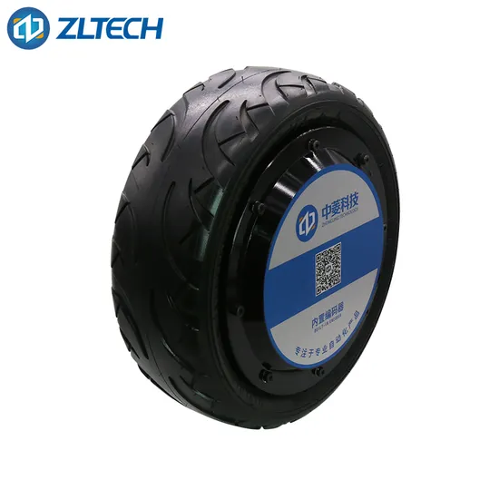 10 Inch 48V 800W Brushless High Power Electric DC Wheel Hub Motor