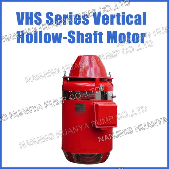 ISO9001 Standard Vertical Hollow-Shaft Asynchronous Vertical Turbine Pump Motor