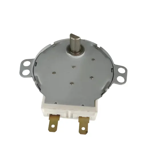 Professional Energy-Saving Dish Washer/Clothes Washer/Electric Heater/Valve Electrical AC Synchronous Motor Ty49