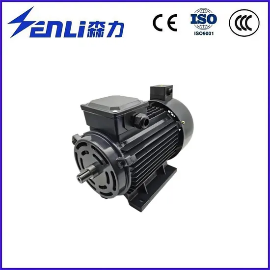 0.1-40nm Drum Motor for Sewing, Plastic Drawing, Printing Machine, Cultivator, Brake Booster
