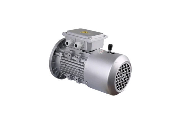 Reliable High-Performance Yej Brake Motor for Heavy-Duty Applications